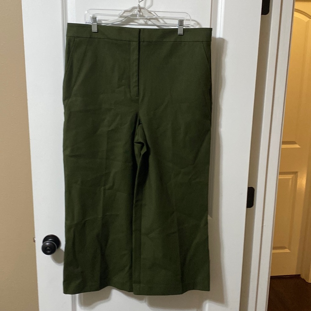 Olive Green Pant